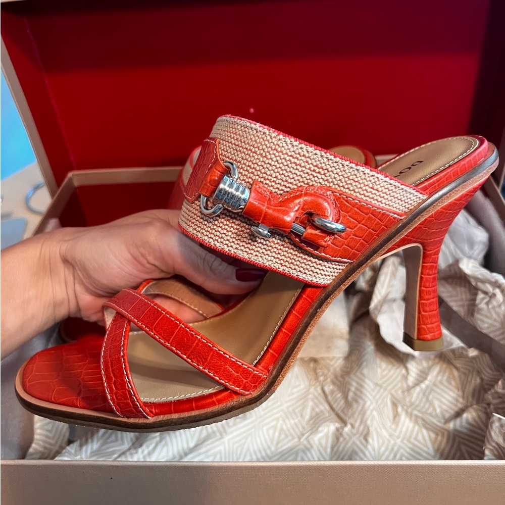 Gorgeous Shoes Donald Pliners